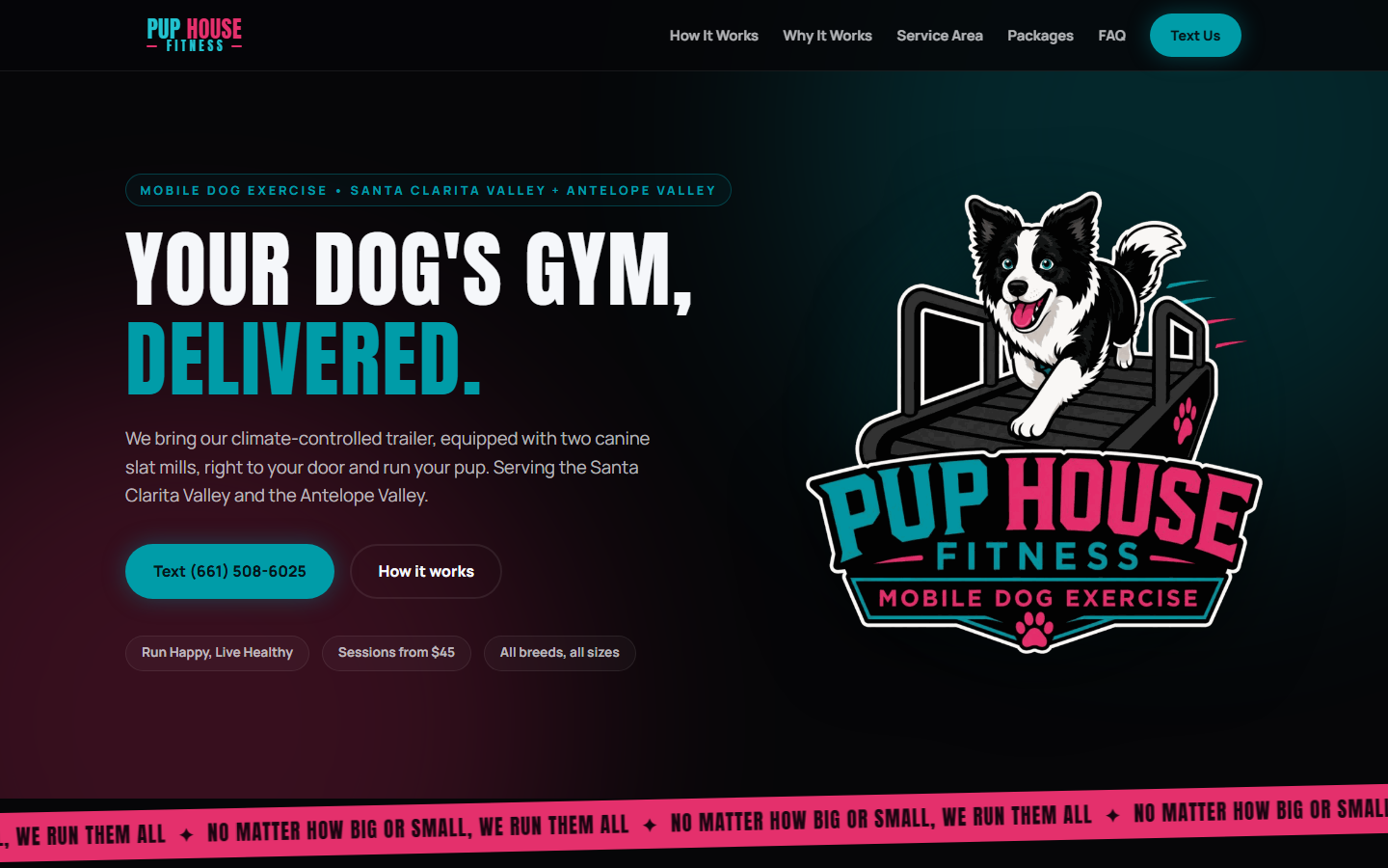 Pup House Fitness — Your Dog's Gym, Delivered. hero section